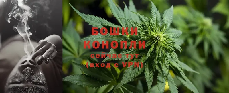 Каннабис THC 21%  Сургут 